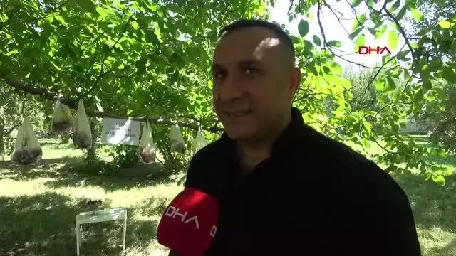PANDEMİDE, İHTİYAÇ SAHİPLERİ İÇİN KURBAN ETLERİNİ BAHÇESİNDEKİ AĞACA ASTI