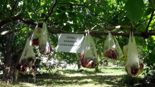 Pandemide, ihtiyaç sahipleri için kurban etlerini bahçesindeki ağaca astı