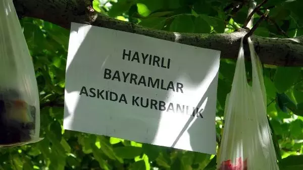 Pandemide, ihtiyaç sahipleri için kurban etlerini bahçesindeki ağaca astı