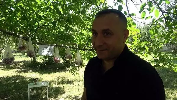 Pandemide, ihtiyaç sahipleri için kurban etlerini bahçesindeki ağaca astı