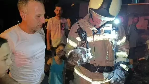 Son dakika haber! PENCERENİN ÇERÇEVESİNDE SIKIŞAN YAVRU KEDİYİ İTFAİYE KURTARDI