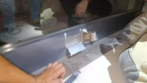 Son dakika haber! PENCERENİN ÇERÇEVESİNDE SIKIŞAN YAVRU KEDİYİ İTFAİYE KURTARDI