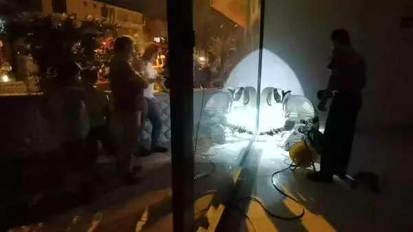 Son dakika haber! PENCERENİN ÇERÇEVESİNDE SIKIŞAN YAVRU KEDİYİ İTFAİYE KURTARDI