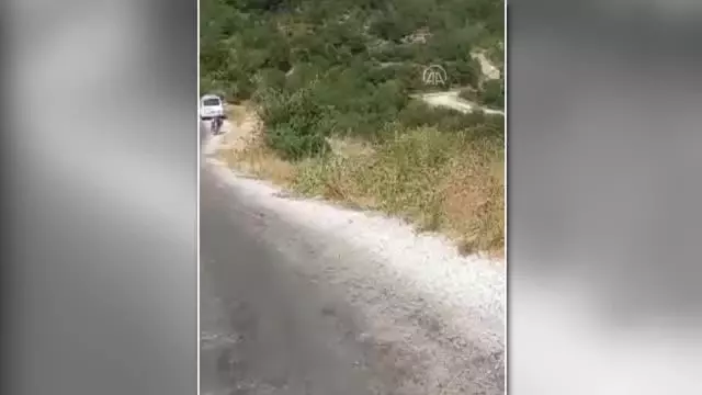 Son dakika haberi... Safari turu yapan araç şarampole devrildi: 1 kişi öldü, 9 kişi yaralandı Son dakika haberi... Safari turu yapan araç şarampole devrildi: 1 kişi öldü, 9 kişi yaralandı