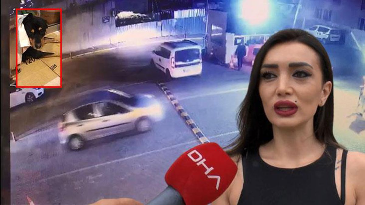 Sahibi vahşeti anlattı! Üzerinden geçtiği köpeğin saatlerce can çekişmesini izlemiş