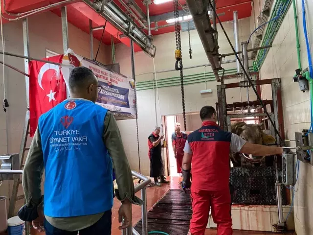 TDV'den Arnavutluk ve Bosna Hersek'te kurban kesimi