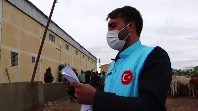 Türkiye Diyanet Vakfı, Nijerya'da 20 bin ihtiyaç sahibine kurban ulaştırdı