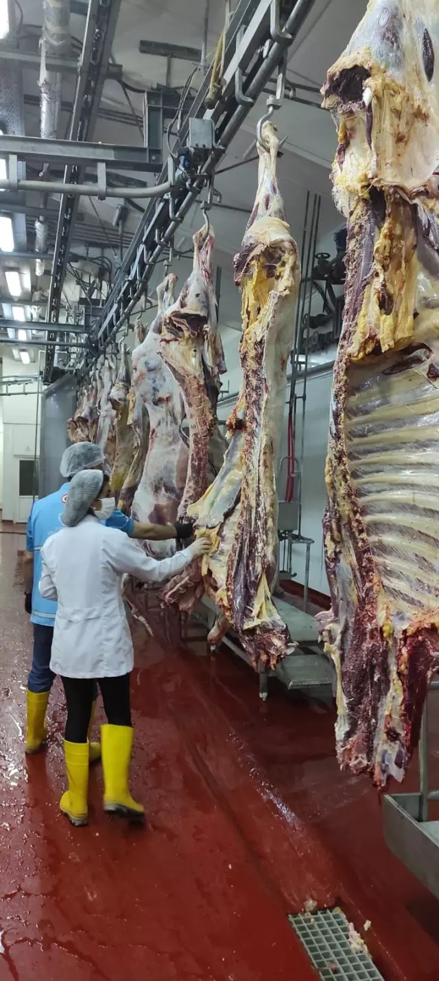 TDV, Van'da ihtiyaç sahiplerine kurban eti ulaştırdı