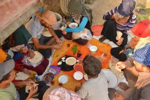 The unsung heroes of agriculture welcomed the Eid al-Adha by working in the heat of Adana
