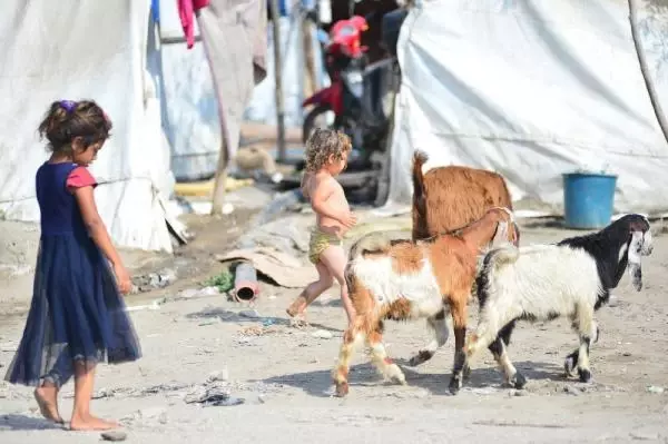 The unsung heroes of agriculture welcomed the Eid al-Adha by working in the heat of Adana