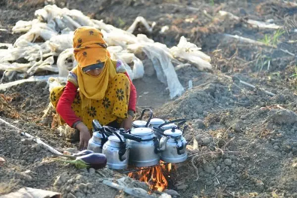 The unsung heroes of agriculture welcomed the Eid al-Adha by working in the heat of Adana
