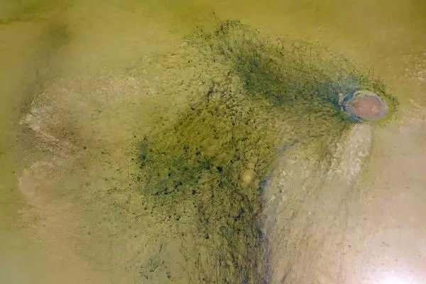The vital veins of the dried Duden Lake appeared