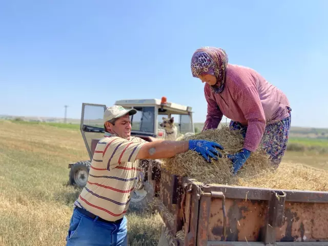 Trakya çiftçisi bayramda da üretime devam ediyor