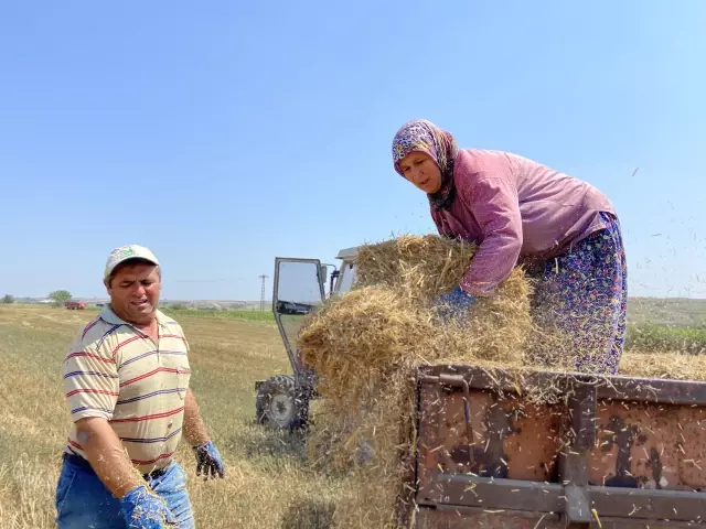 Trakya çiftçisi bayramda da üretime devam ediyor