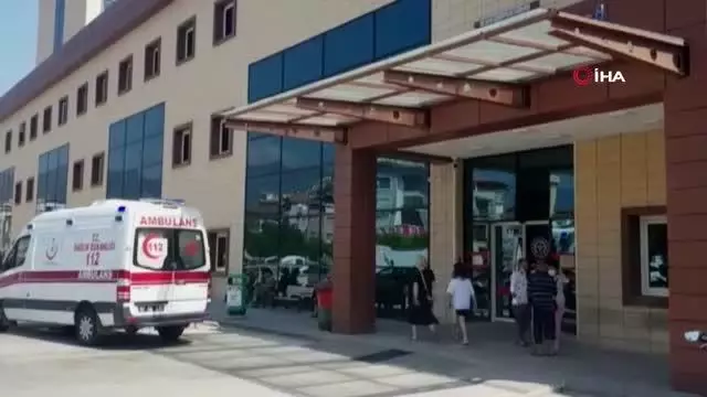 Turistleri taşıyan safari aracı devrildi: 1 ölü, 9 yaralı