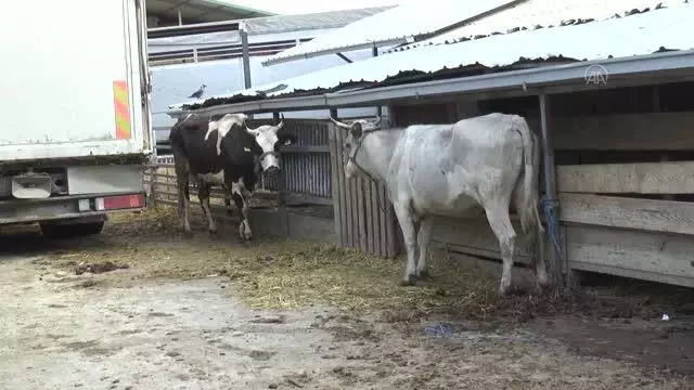 Türk Kızılay, Kuzey Makedonya'da ihtiyaç sahiplerine kurban eti ulaştırıyor Türk Kızılay, Kuzey Makedonya'da ihtiyaç sahiplerine kurban eti ulaştırıyor