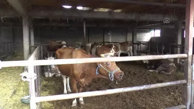 Türk Kızılay, Kuzey Makedonya'da ihtiyaç sahiplerine kurban eti ulaştırıyor