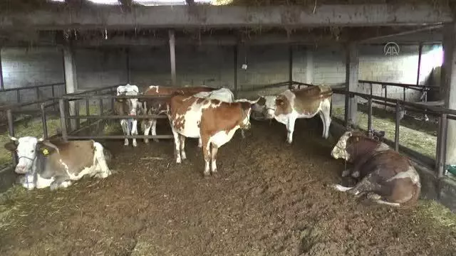 Türk Kızılay, Kuzey Makedonya'da ihtiyaç sahiplerine kurban eti ulaştırıyor