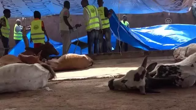 Türkiye'den Mali'deki ihtiyaç sahiplerine kurban yardımı