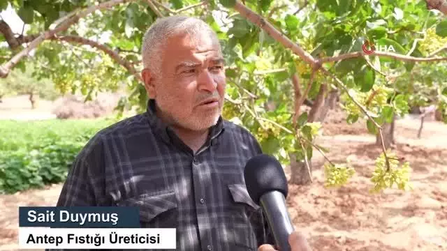 Türkiye'nin ilk lisanslı Antep Fıstığı Deposu