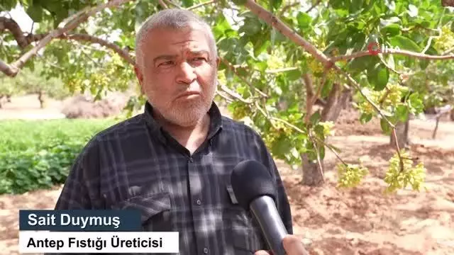 Türkiye'nin ilk lisanslı Antep Fıstığı Deposu