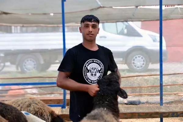 UCUZA KURBANLIK ALMAK İSTEYENLER, BAYRAMIN 2'NCİ GÜNÜNÜ BEKLEDİ UCUZA KURBANLIK ALMAK İSTEYENLER, BAYRAMIN 2'NCİ GÜNÜNÜ BEKLEDİ