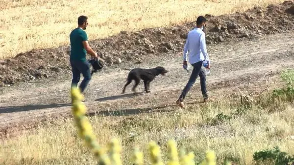 Kaçan kurbanlığın peşinden giden tıp öğrencisi genç, dünden bu yana kayıp Kaçan kurbanlığın peşinden giden tıp öğrencisi genç, dünden bu yana kayıp