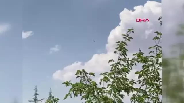 ÜNİVERSİTELİ ONUR, KAÇAN KURBANLIĞIN PEŞİNDEN GİTTİ, KAYBOLDU