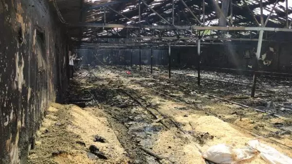 Çiftlik sahibinin hali görenleri kahretti! Yangında 12 bin hindi yavrusu can verdi Çiftlik sahibinin hali görenleri kahretti! Yangında 12 bin hindi yavrusu can verdi