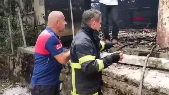Son dakika haber | YANGINDA 12 BİN HİNDİ YAVRUSU ÖLDÜ, ÇİFTLİK SAHİBİ GÖZYAŞI DÖKTÜ