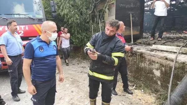 Çiftlik sahibinin hali görenleri kahretti! Yangında 12 bin hindi yavrusu can verdi Çiftlik sahibinin hali görenleri kahretti! Yangında 12 bin hindi yavrusu can verdi