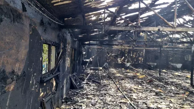 Zonguldak'ta 12 bin hindi yavrusu yangında telef oldu, bir otomobil kullanılamaz hale geldi