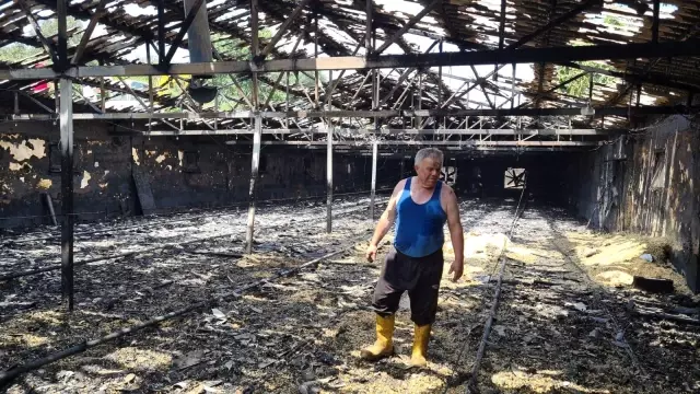Zonguldak'ta 12 bin hindi yavrusu yangında telef oldu, bir otomobil kullanılamaz hale geldi