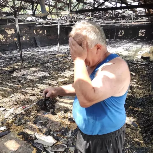 Zonguldak'ta çıkan çiftlik yangınında 12 bin hindi yavrusu telef oldu