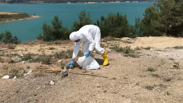 Araziye terk edilen yaklaşık 300 civciv korumaya alındı