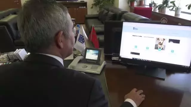 Ankara Büyükşehir Belediyesi yaralı sokak hayvanlarının ihbarı için 'E-Pati' uygulamasını başlattı Ankara Büyükşehir Belediyesi yaralı sokak hayvanlarının ihbarı için 'E-Pati' uygulamasını başlattı