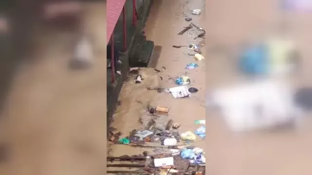 Arhavi'de suya kapılan ve yüzerek vatandaşların olduğu bölgeye gelen köpek kurtarıldı Arhavi'de suya kapılan ve yüzerek vatandaşların olduğu bölgeye gelen köpek kurtarıldı