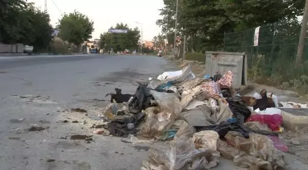 ARNAVUTKÖY'DE KURBANLIK HAYVANLARIN KAFALARINI YOLA ATTILAR