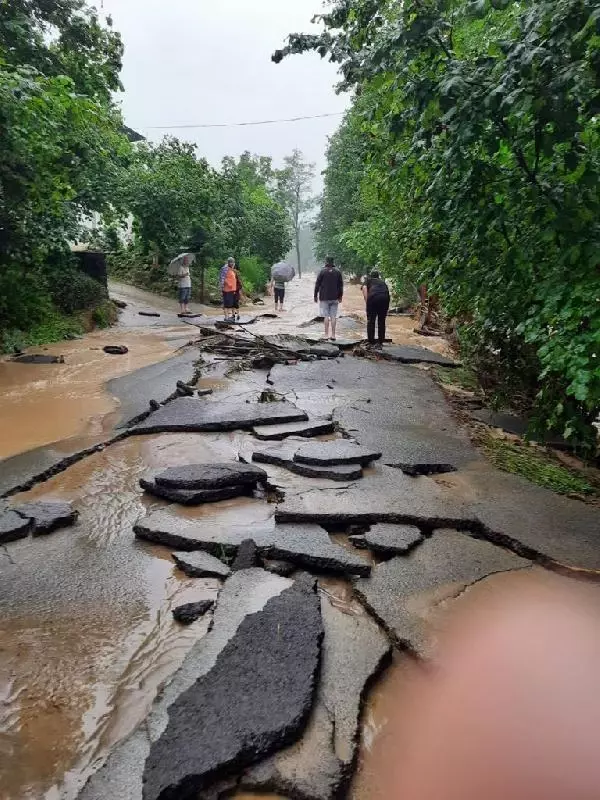 Artvin ve Rize'de 'sel' nedeniyle 3 bin abone elektriksiz kaldı
