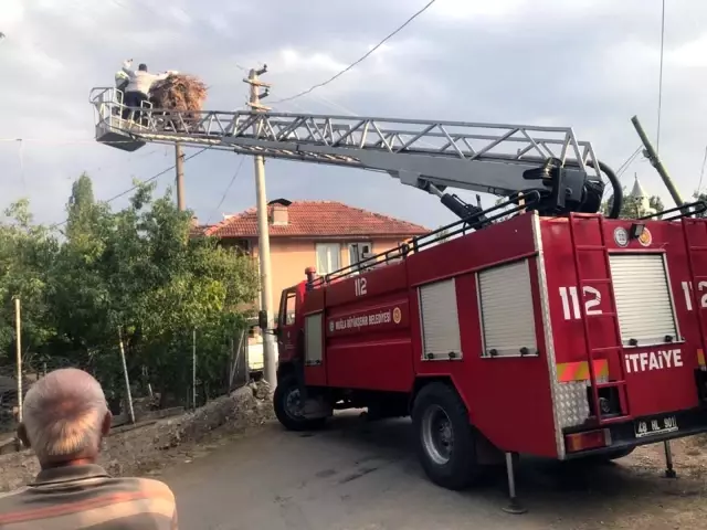 Ayağına ip dolanan Leylek İtfaiye tarafından kurtarıldı