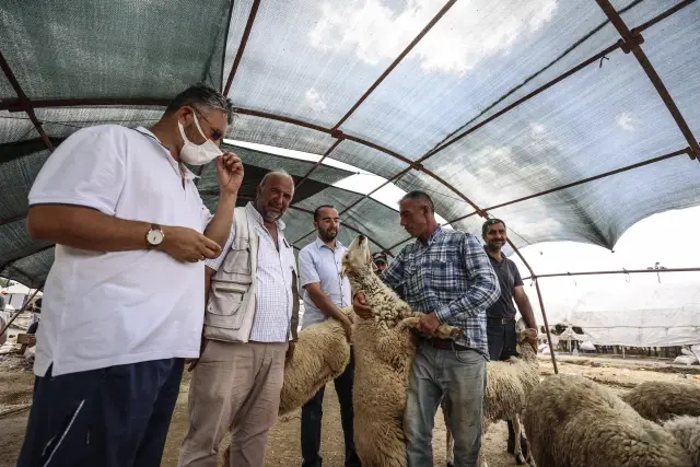 Başkentte bayramın üçüncü gününde de hayvan pazarlarında kurban satışları sürüyor