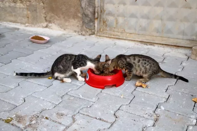 Bayramda can dostlar unutulmadı
