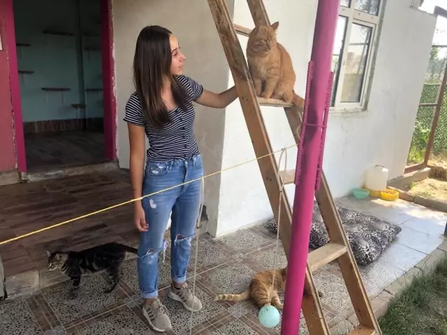 Bayramda evcil hayvan otelleri yoğun ilgi gördü Bayramda evcil hayvan otelleri yoğun ilgi gördü