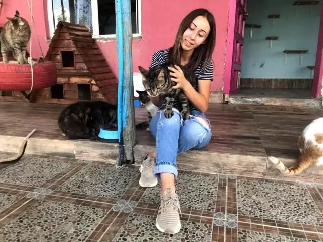 Bayramda evcil hayvan otelleri yoğun ilgi gördü