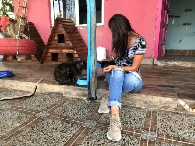 Bayramda evcil hayvan otelleri yoğun ilgi gördü