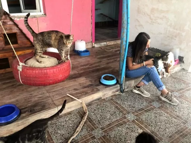 Bayramda evcil hayvan otelleri yoğun ilgi gördü