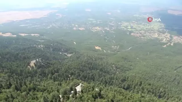 Binlerce kilometre uzaktan bu manzarayı görmek için geliyorlar