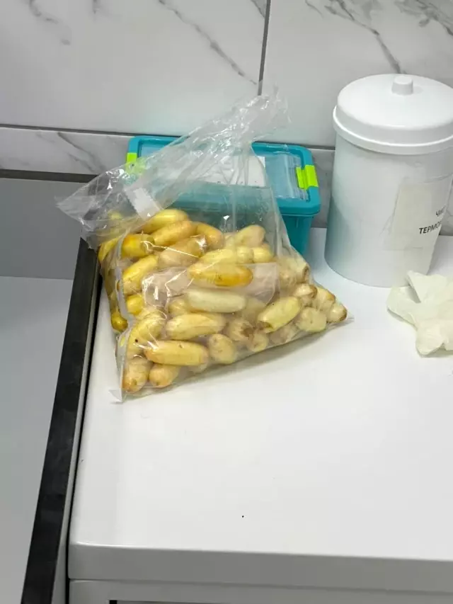 Bir kilo kokaini yutan kurye Ukrayna'da yakalandı