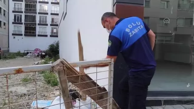 Boş arazide biriktirilen çöpler toplandı Boş arazide biriktirilen çöpler toplandı