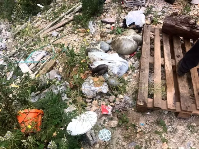 Boş araziyi çöplüğe çeviren kadın mahalleyi kokuya boğdu